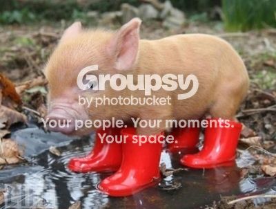 PiggyInDeep_zps158e10a5.jpg