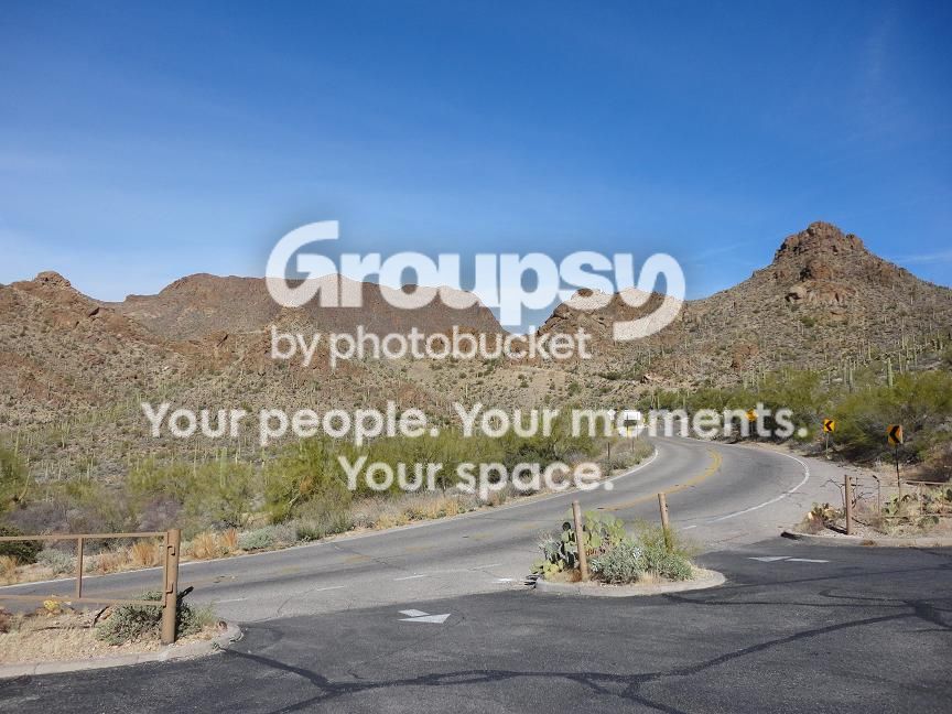 gocartracing028.jpg