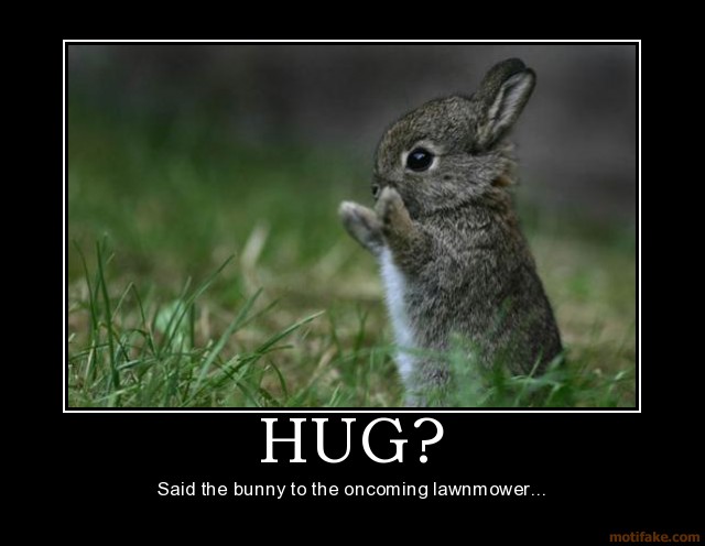 hug-hug-bunny-lawnmower-demotivational-poster-1234299897.jpg